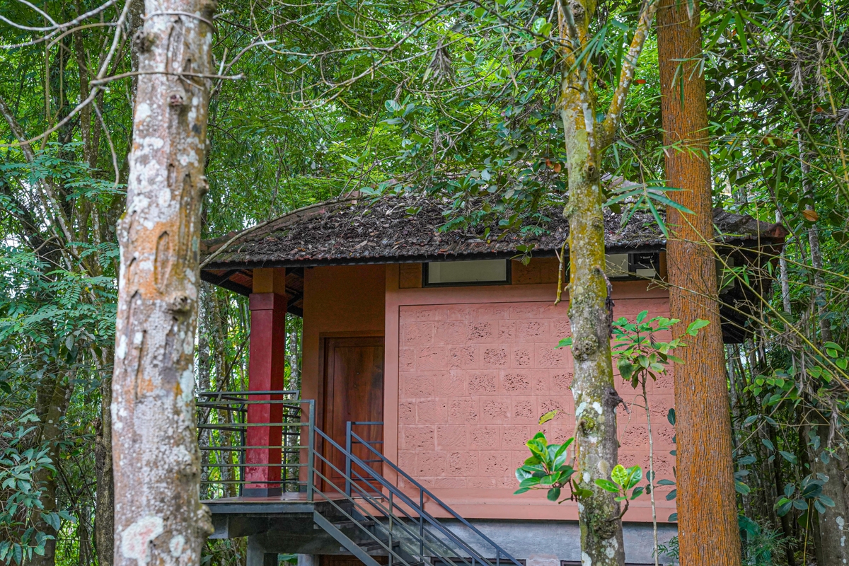Deluxe Cottage
