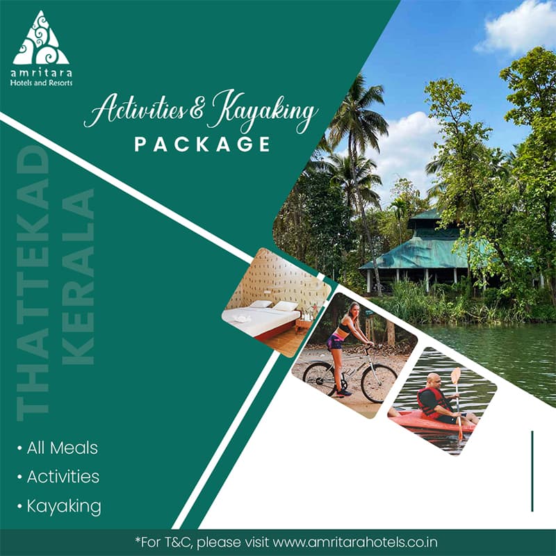 adventures in thattekad: from kayaking to trekking