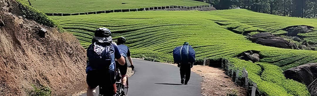 Cycling Trails