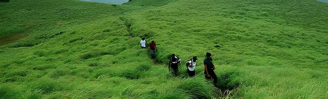 Trekking Experiences