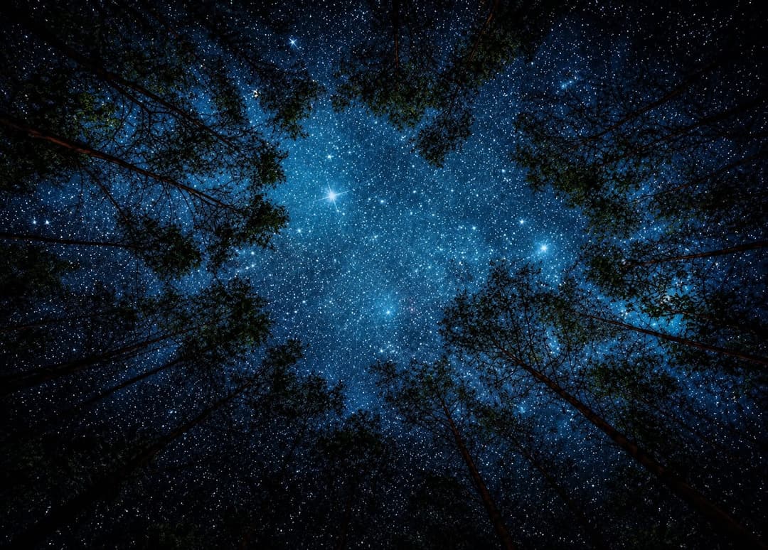 Stargazing