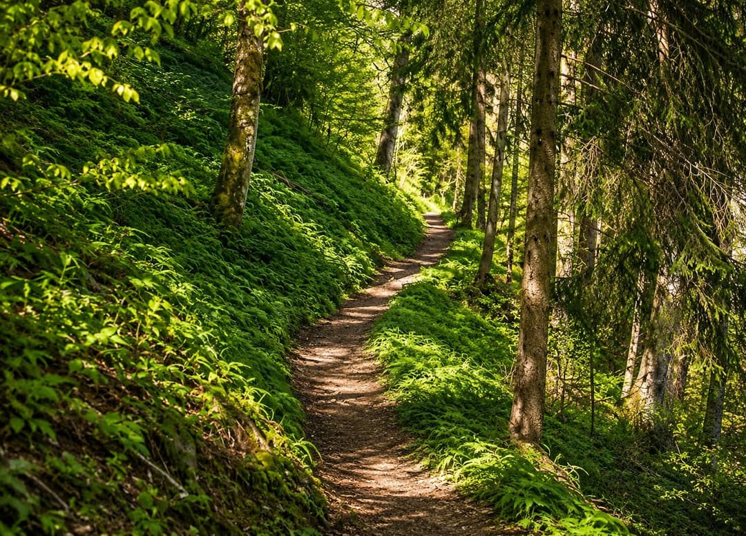 Hiking Trails