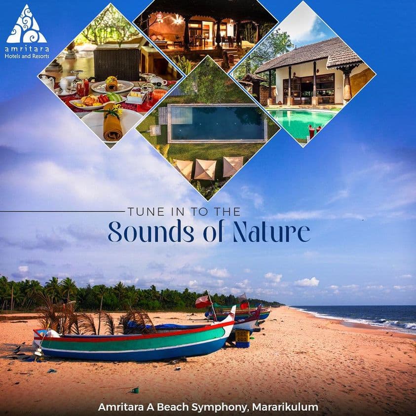 travel wonders: exploring the best places to visit in india in january